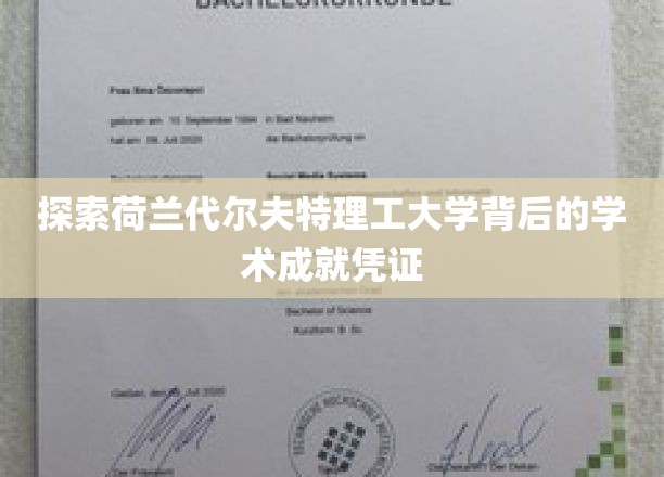 解码荷兰代尔夫特理工大学，卓越学术成就的密码解码