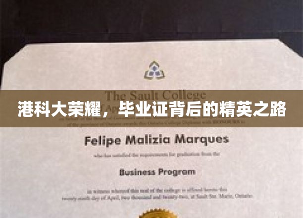 港科大骄子，揭秘毕业证背后的璀璨精英成长轨迹