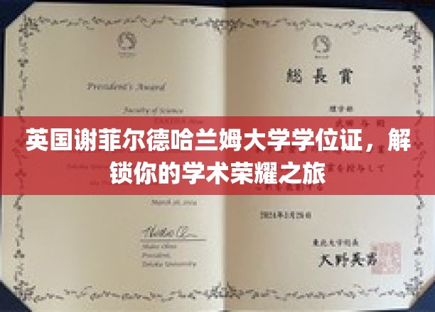 英国谢菲尔德哈兰姆大学荣耀通行证，开启你的学术成就新篇章