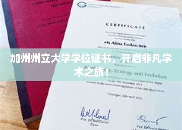 探索加州州立大学，成就非凡学业的通行证！