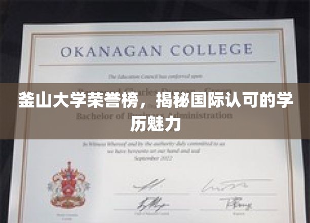 釜山大学荣耀之路，探索国际认可的学历风采