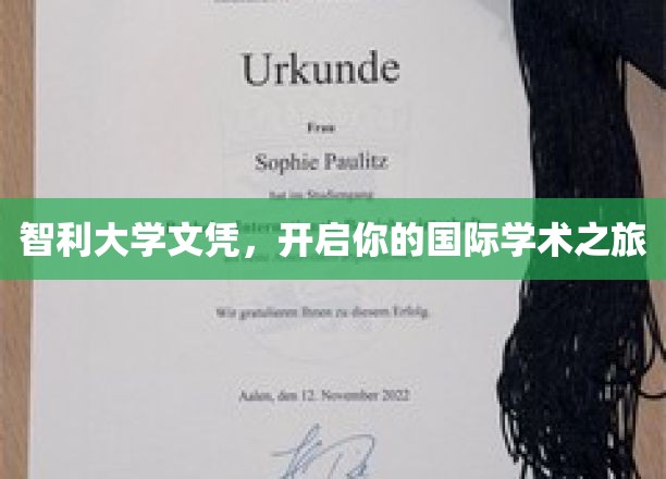 跨越国界，智利大学文凭助你扬帆学术新航程