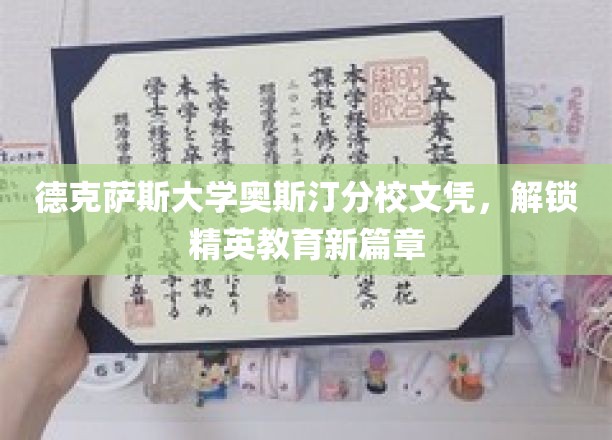 德克萨斯大学奥斯汀分校文凭，开启精英教育新篇章