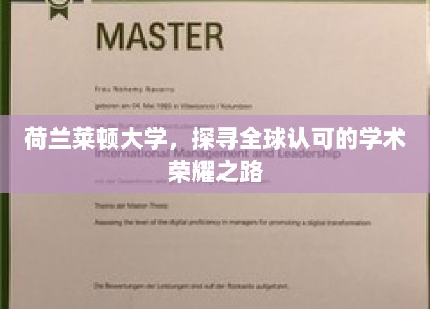 跨越荷兰莱顿，揭秘世界级学术殿堂的荣耀征程