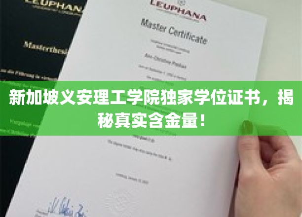 新加坡义安理工学院学位证书价值揭秘，独家解读其含金量与认可度