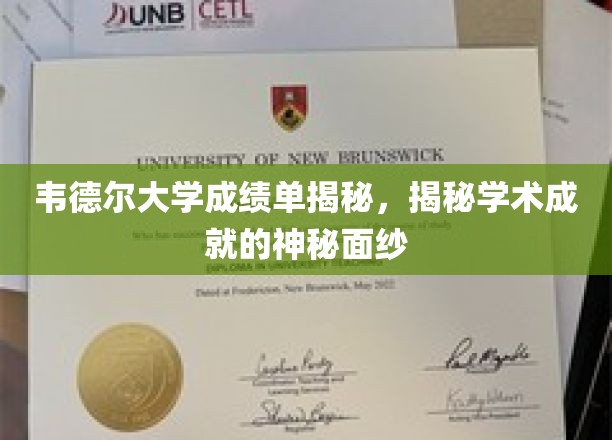 探寻韦德尔大学背后的学术辉煌，揭秘成绩单背后的奥秘