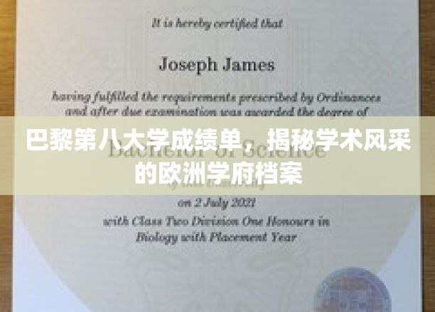 巴黎第八大学成绩单，揭秘学术风采的欧洲学府档案