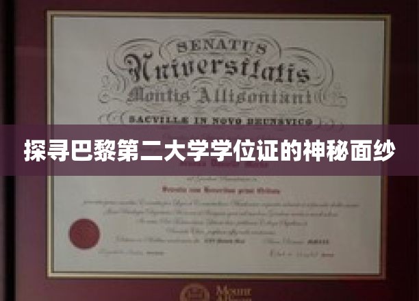 揭开巴黎第二大学学位证背后的传奇故事