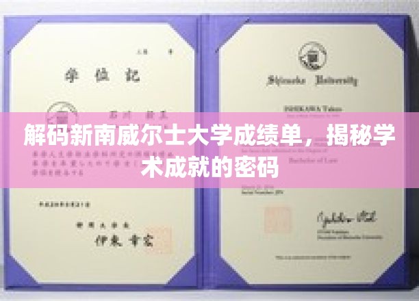 解锁新南威尔士大学成绩单，揭秘学术成就的神秘之门