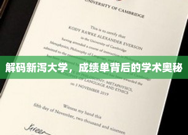 探索新泻大学，揭开成绩单背后的学术秘境