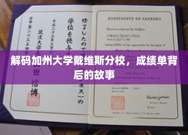 加州大学戴维斯分校揭秘，揭秘学子成绩单背后的成长轨迹