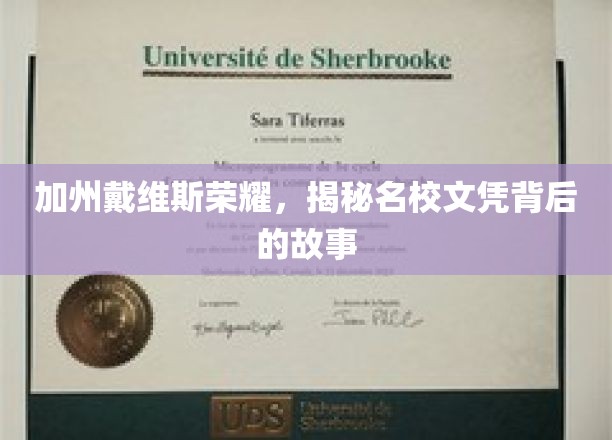 戴维斯荣耀揭秘，加州名校文凭的非凡历程