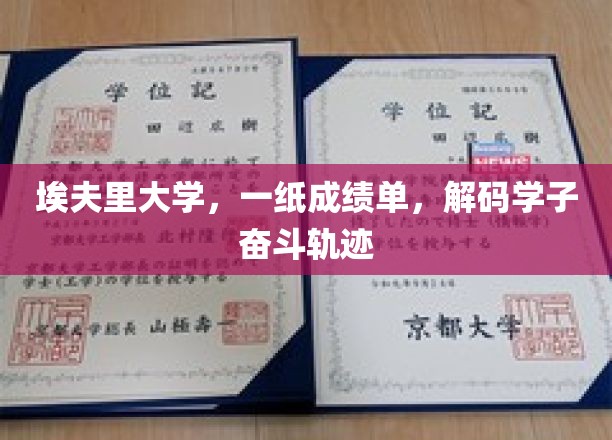 埃夫里大学，一纸成绩单，展现学子奋斗足迹