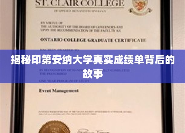 印第安纳大学成绩单背后的惊人真相大揭秘