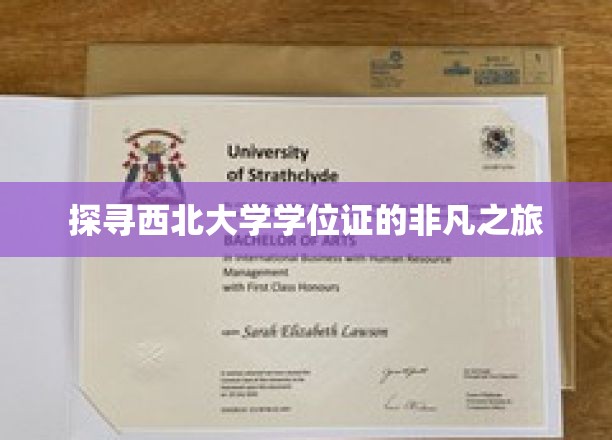 西北大学学位证背后的传奇征程