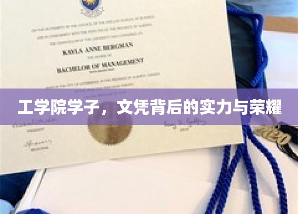 工学院精英，文凭背后的实力与荣光之旅