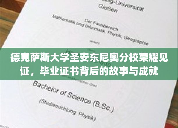 德克萨斯大学圣安东尼奥分校荣耀见证，毕业证书背后的故事与成就