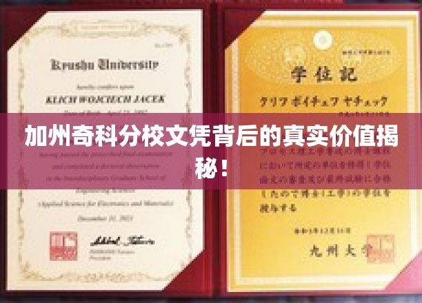 加州奇科分校文凭，揭开职场认可的神秘面纱