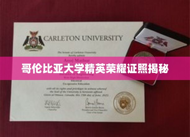 哥伦比亚大学精英荣耀证照揭秘