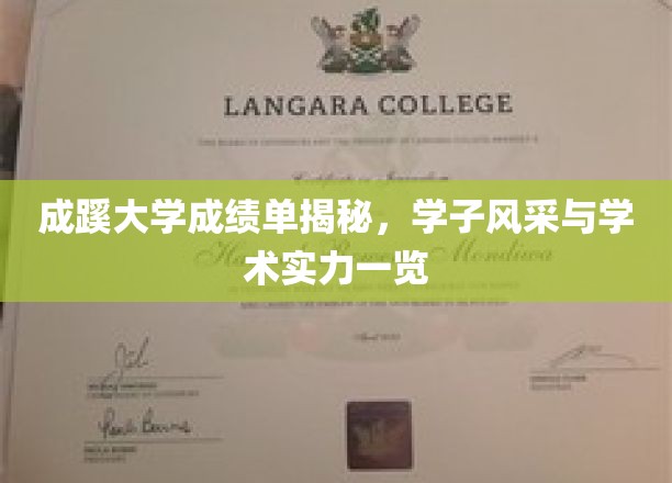 解码成蹊学子，成绩单背后的学术实力与青春风采展露无遗