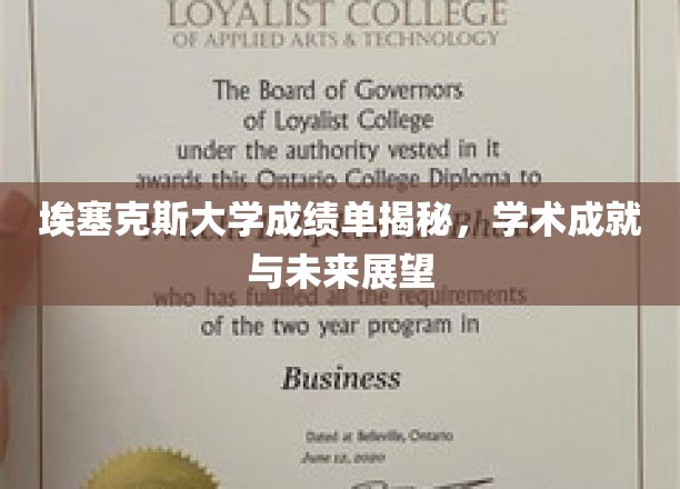 解锁埃塞克斯大学成就门径，探寻学术巅峰与未来蓝图