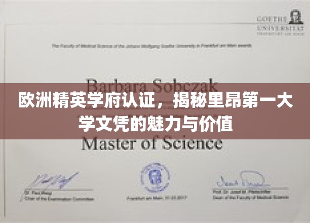 解码里昂第一大学，欧洲精英教育认证下的文凭力量