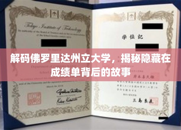 佛罗里达州立大学成绩单深藏的秘密，揭秘学术背后的真实面纱