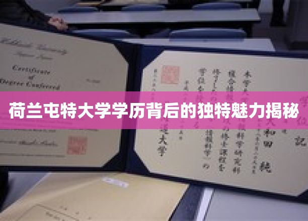 荷兰屯特大学学历背后的独特魅力揭秘