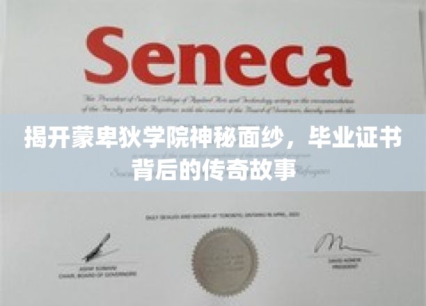 一探究竟：蒙卑狄学院的神秘面纱，毕业证书背后的传奇故事