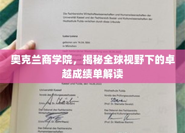 解码奥克兰商学院，国际舞台上耀眼的成绩单解析