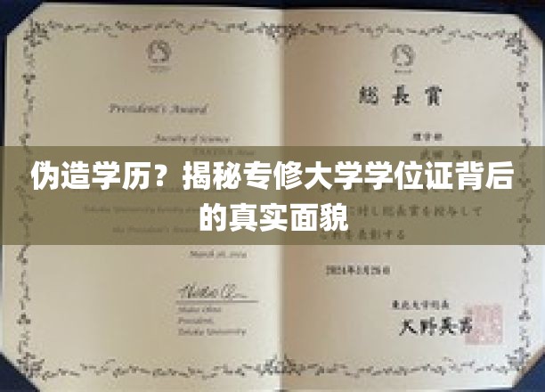 学历认证疑云，揭开专修大学学位证的神秘面纱