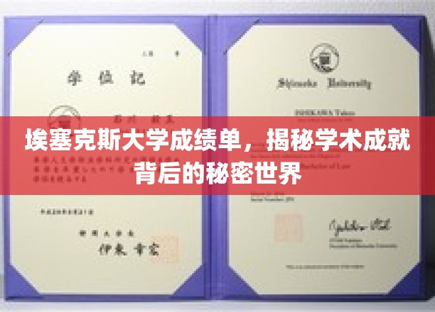 解码埃塞克斯大学，揭开成绩单背后的学术奥秘