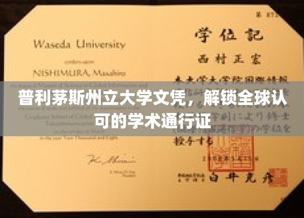 跨越国界，普利茅斯州立大学文凭助力全球学术之旅