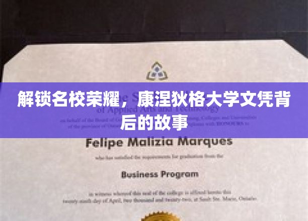 解锁名校荣耀，康涅狄格大学文凭背后的故事