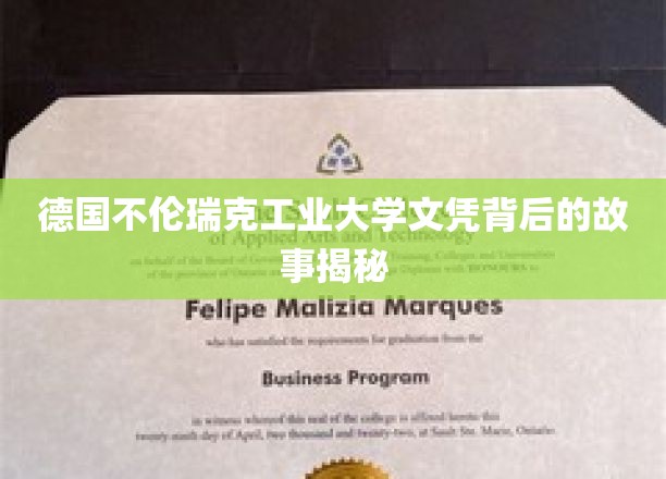揭开德国不伦瑞克工业大学文凭背后的传奇与奥秘