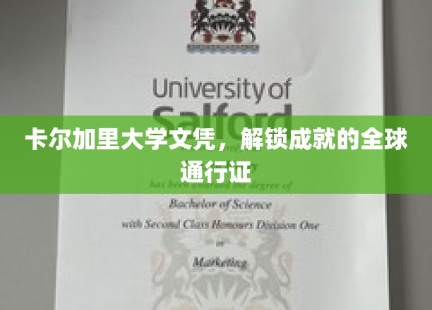 国际认可，卡尔加里大学文凭，开启全球成就之旅的钥匙