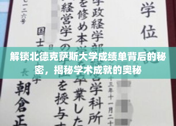 探寻北德克萨斯大学成绩单深层次解读，解锁学术成就的密码