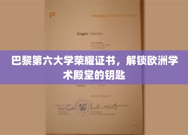 探寻巴黎第六大学荣耀证书，开启欧洲学术之门的金钥匙
