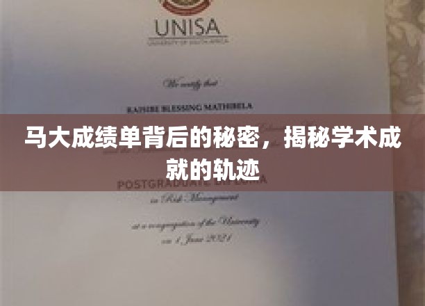 揭秘马大才子的成长轨迹，学术成绩背后的不凡秘密