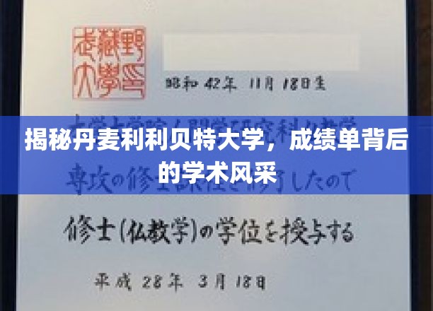 揭秘丹麦利利贝特大学，成绩单背后的学术风采