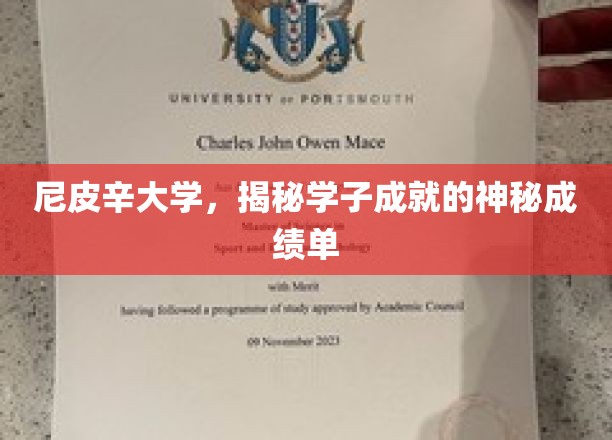 揭开尼皮辛大学学子卓越成就的神秘成绩单之谜