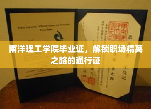 南洋理工学院毕业证，解锁职场精英之路的通行证