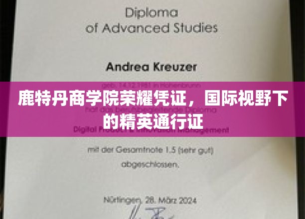 鹿特丹商学院荣耀证照，开启全球精英之路的通行证