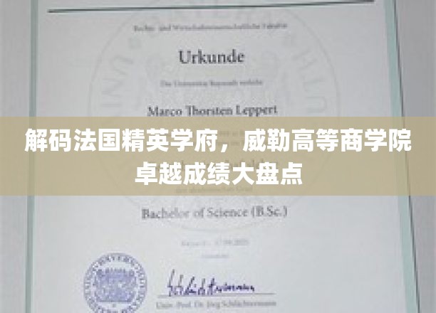 解码法国精英学府，威勒高等商学院卓越成绩大盘点