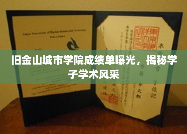 旧金山城市学院成绩单曝光，展现学子学术风采