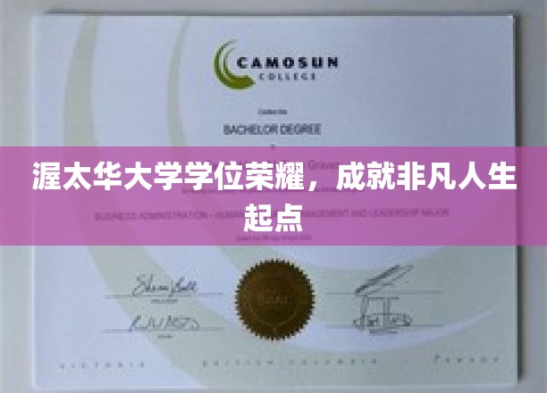 渥太华大学学位助力，开启非凡人生新篇章