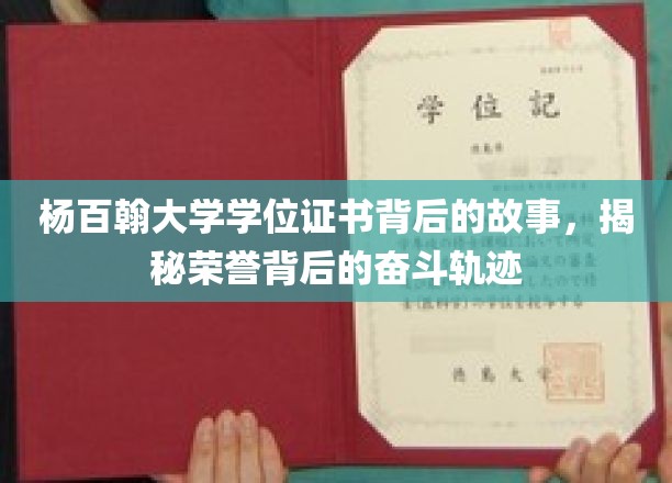 杨百翰大学荣耀证书背后的奋斗足迹，一场不屈不挠的奋斗之旅