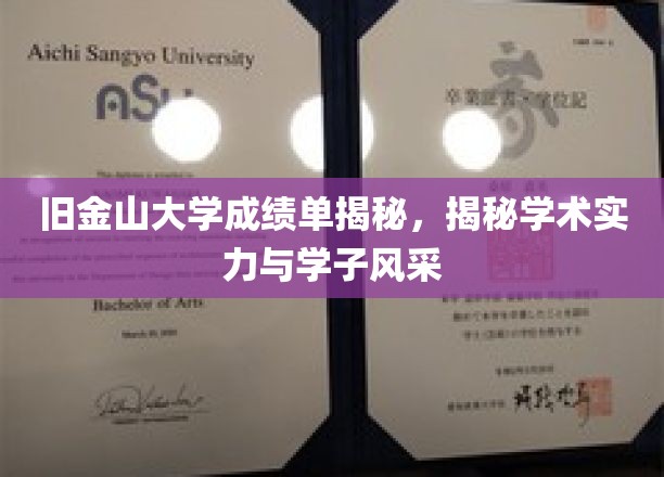 解码旧金山大学，成绩单背后的学术辉煌与学子风采