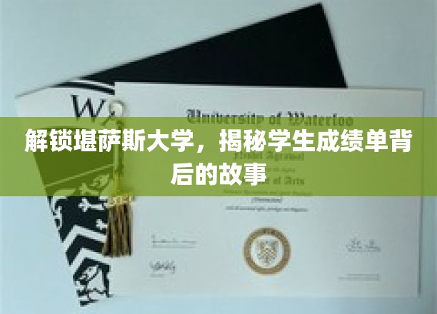揭开堪萨斯大学成绩单的秘密，学子成就的神秘面纱