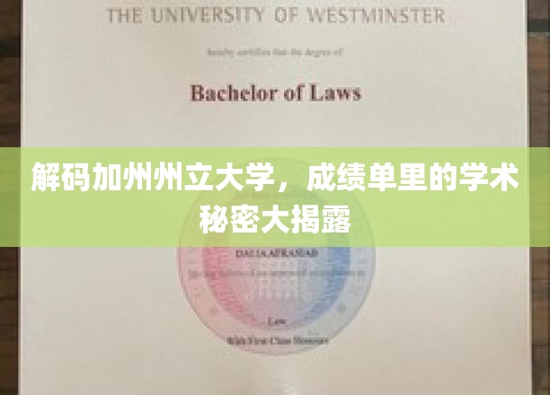 解码加州州立大学，成绩单里的学术秘密大揭露